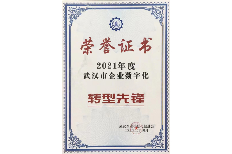 武汉市企业数字化转型先锋 